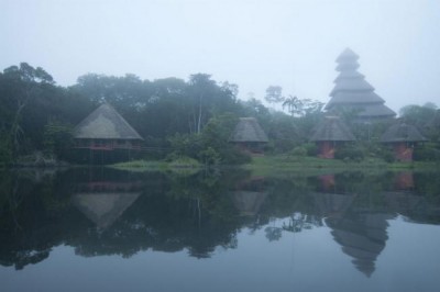  UN experts criticize Ecuadorâ€™s â€˜strategy to asphyxiateâ€™ civil society human rights groups