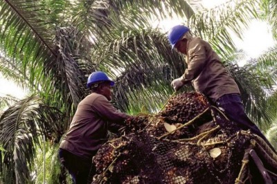  Decent jobs deficit, economic woes threaten to undo poverty reduction gains â€“ UN report