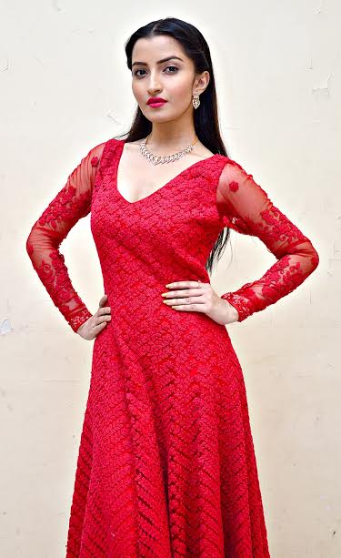 Shyam Sundar Co. Jewellers' â€œSharad Sundari 2016â€ unveiled