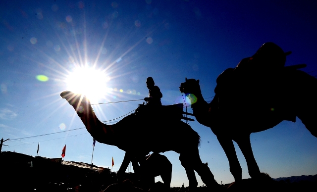 Pushkar: A magnet for tourists on a soul journey