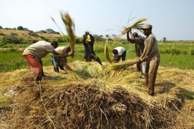 Union Cabinet approves interest subsidy for farmers, additional three per cent subsidy for timely loan payment 