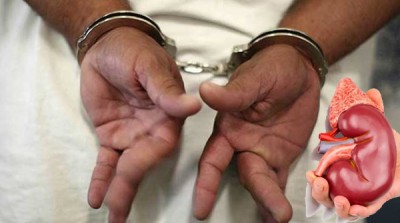 Kidney racket busted in Dehradun, five arrested