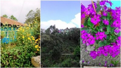 Rishop: And the Mountains Echoed