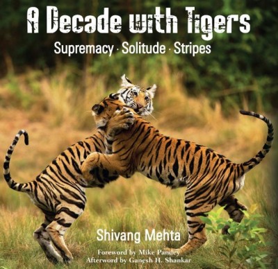 A Decade with Tigers: Wildlife photographer Shivang Mehta documents the majesty of the Royal Bengal Tiger   