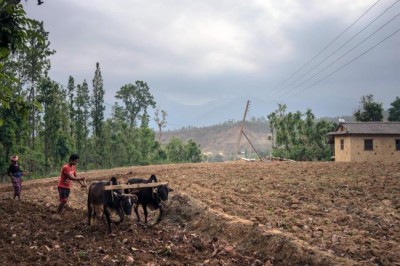 Global hunger rising again, driven by conflict and climate change â€“ UN report