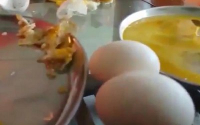 No problem with eggs produced in Bengal, tells Mamata