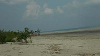 3 Kolkata tourists drown in Bakkhali sea