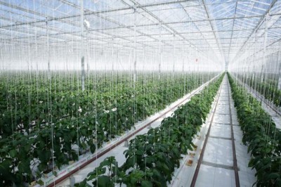 Bonn: New initiatives in energy, water and agriculture sectors announced at UN Climate Conference