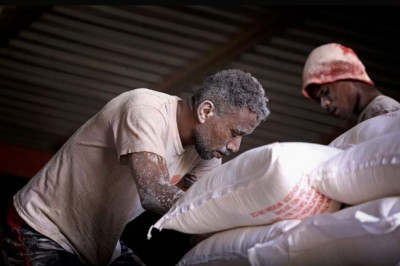 In Europe, UN envoy urges political and financial support for Yemenis