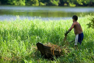 UN marks first ever Day of the Tropics with focus on regionâ€™s vulnerability