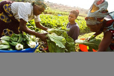 Amid soaring food insecurity in DR Congo, UN agencies call for food aid, supplies
