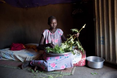 Harvest season provides meagre respite to South Sudanâ€™s ongoing hunger crisis