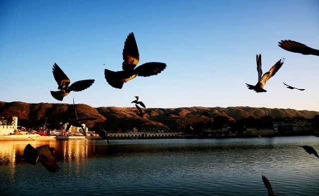 Pushkar: A magnet for tourists on a soul journey