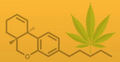 CMA wants Health Canada, not industry, to design marijuana labelling