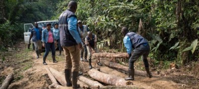 Conflict in new Ebola zone of DR Congo exacerbates complexity of response: WHO emergency response chief