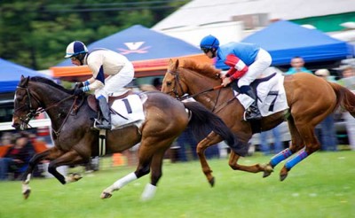 Rummy Portals in India Look to Expand by Offering Betting Options