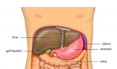Digital liver scanning technology could halve number of liver biopsies