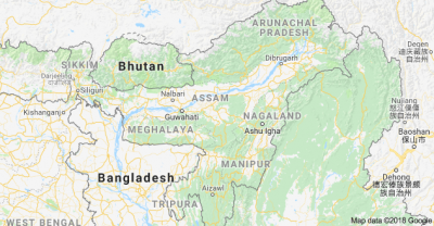 Assam : Rare and exotic animals from Africa, South America recovered