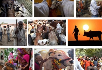 Alwar lynching: Cop admits mistake for delay in taking victim to hospital