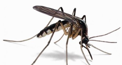 WHO and partners launch new country-led response to put stalled malaria control efforts back on track