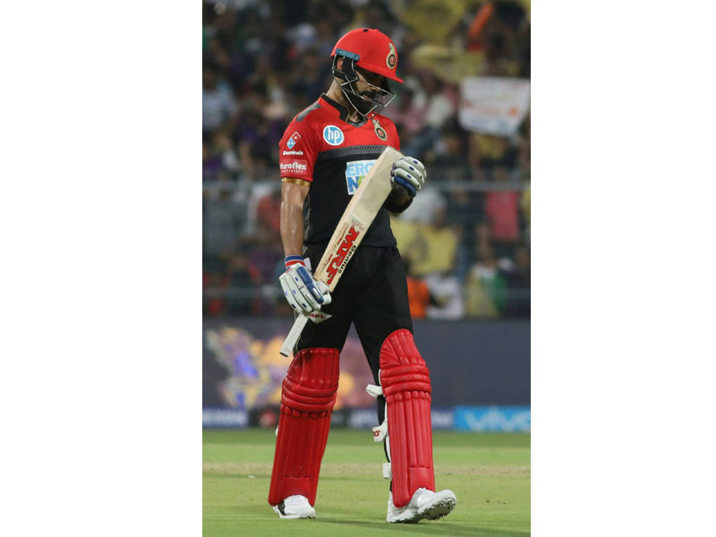 Kolkata crowd watch KKR beat RCB, Shah Rukh Khan cheers Knights