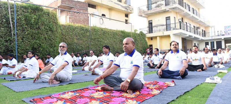 Modi leads International Yoga Day as ministers join him in performing yoga