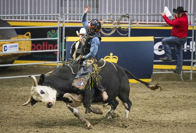 World in Photo : Nov 11 , 2019