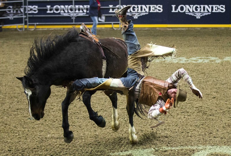 World in Photo : Nov 11 , 2019