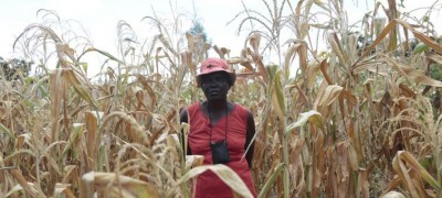 Zimbabwe â€˜facing worst hunger crisis in a decadeâ€™