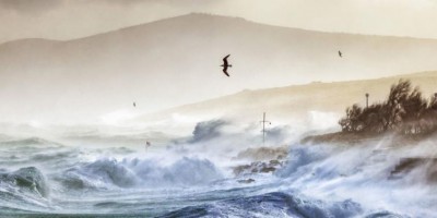 Decade ending 2019 likely to be hottest on record: WMO