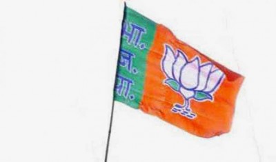 BJP leader Renu Kushwaha resigns