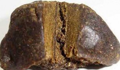 SSB sleuths seize charas worth Rs one crore on Indo-Nepal border, one arrested