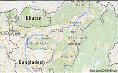 Japanese Encephalitis claims 28 lives in Assam