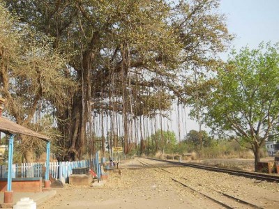 West Bengal: Police recover 27 crude bombs in Birbhum