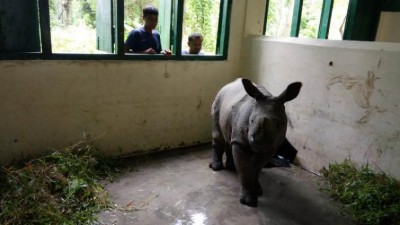 Assam flood: Situation improves, death toll mounts to 39