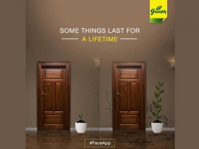 Greenply Industries Limited reports consolidated PAT of Rs. 21 crore in June quarter