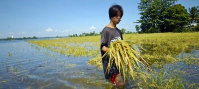 COP25: Global investors urge countries to meet climate action goals  