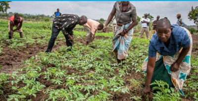 UN climate summit aims to speed up transition to cleaner, greener future