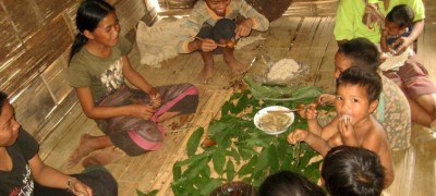 Education critical to ensure future of forests, and reverse their destruction