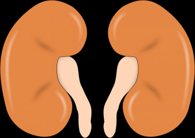 Hyderabad: International kidney racket busted, 3 held