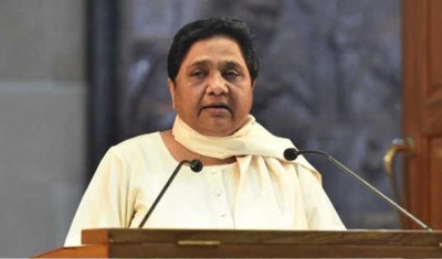 Mayawati Affidavit in SC: Elephant statues nothing to do with BSP party symbol