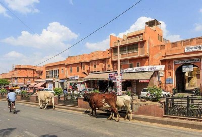 Exploring Jaipur in two days with Savaari	