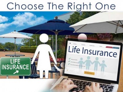 A Safety Net for Your Loved Ones: 4 Main Differences Between Term and Whole Life Insurance