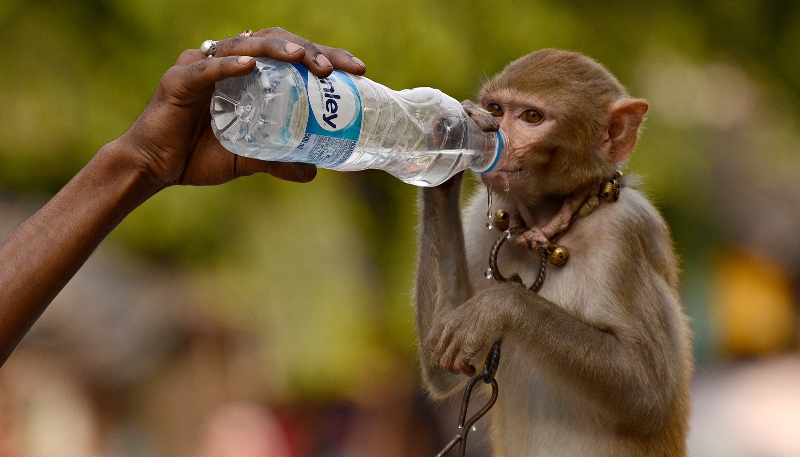 Temperature soars across India amid heat wave