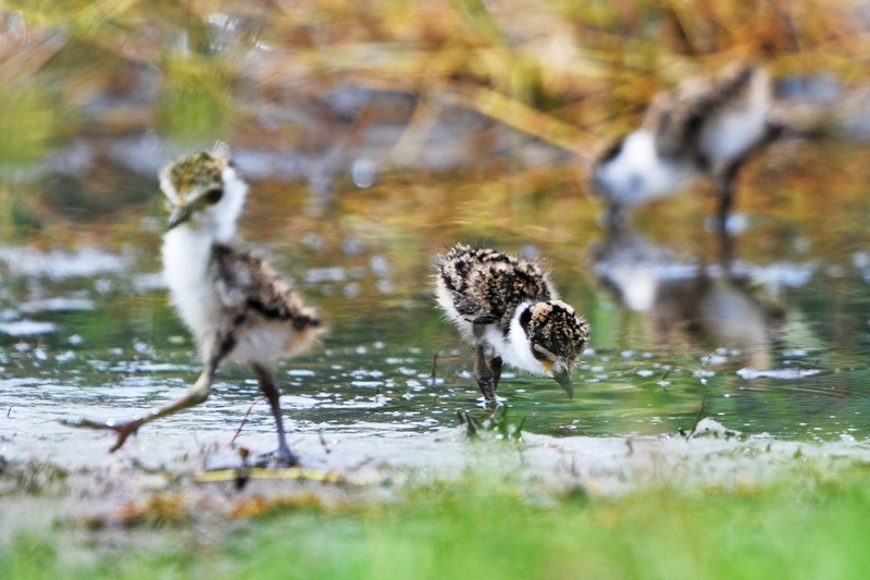 World in Photos : Aug. 6, 2020