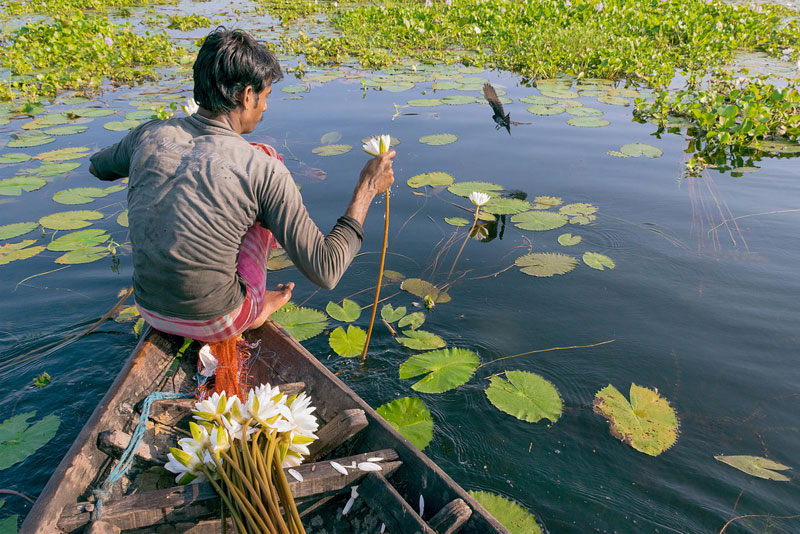 Ode to Bengal: An ITC Hotels' World Photography Day Tribute