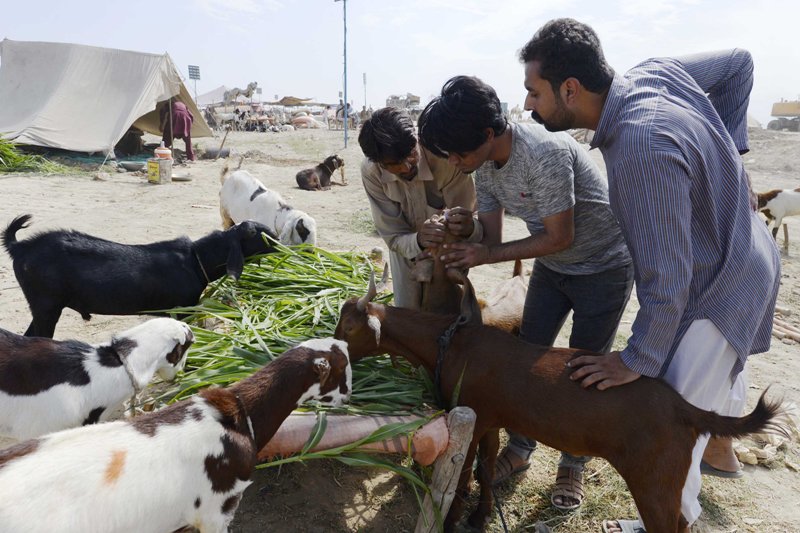 Wold in Photo : July 21, 2020