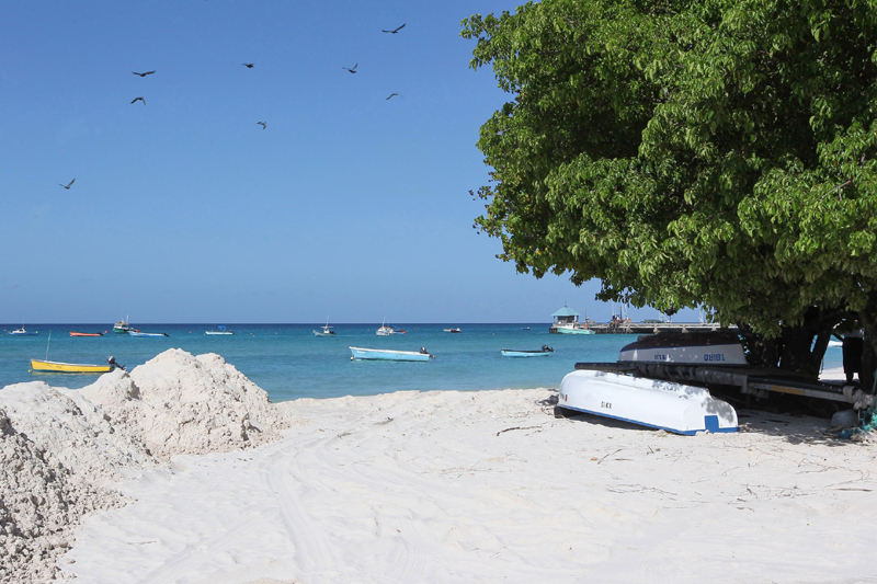 COVID-19: Barbados tourism hit by pandemic