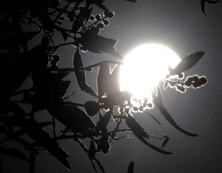 Glimpses of the Solar Eclipse