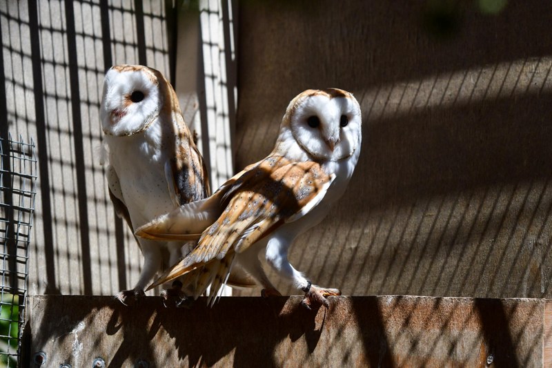 World in Photos : Aug. 31, 2020